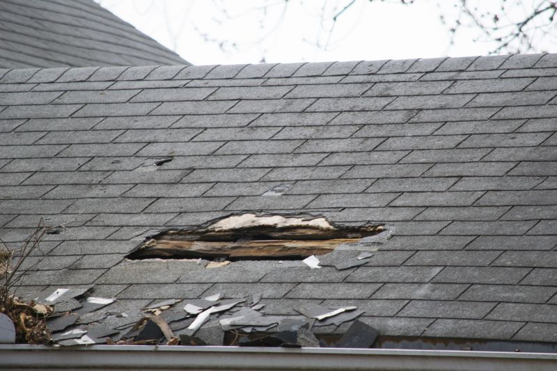 Asphalt Roof Leak Repair in Ann Arbor, MI