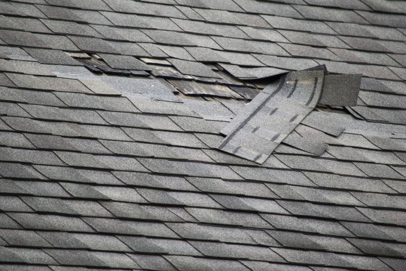 Asphalt Roof Repair in Highland, MI