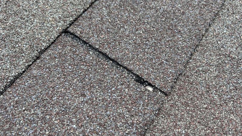 Asphalt Roof Repair in Wixom, MI