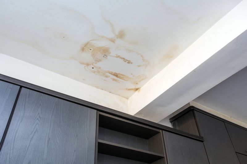 Bedroom Leak Repair in Pinckney, MI