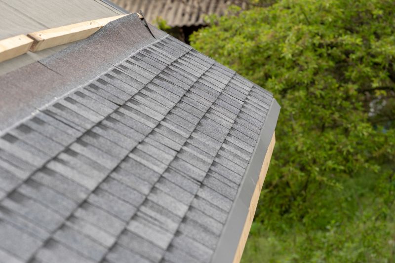Damaged Roof Repair in Ann Arbor, MI