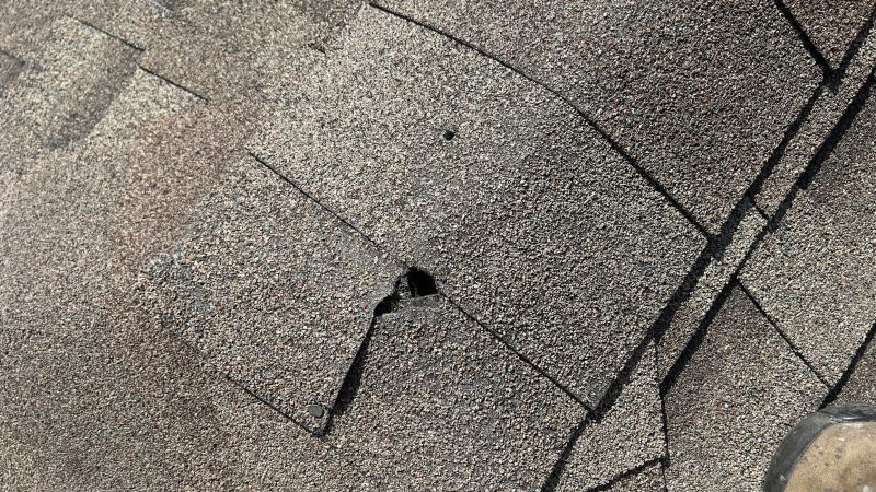 Damaged Roof Repair in Hartland, MI
