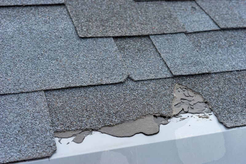 Damaged Roof Repair in Wixom, MI