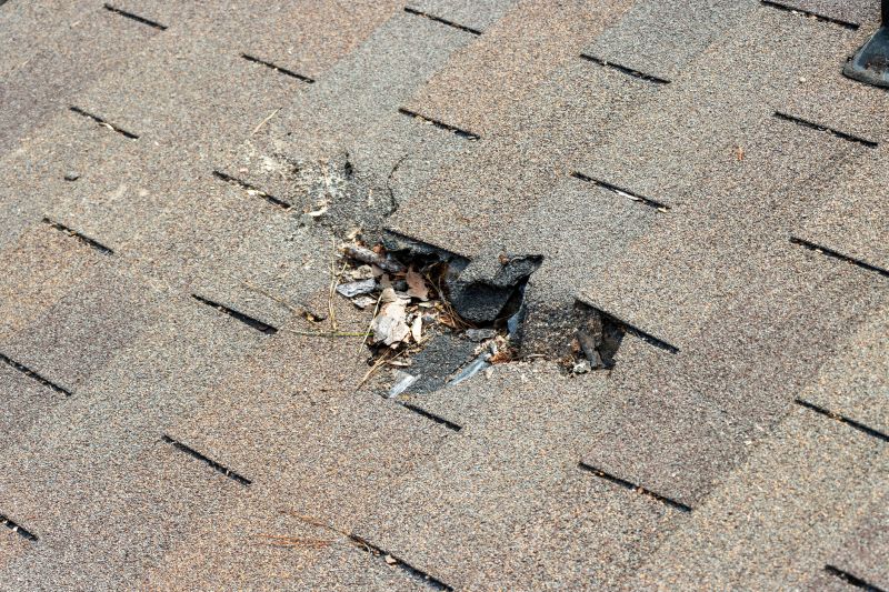 Damaged Roof Replacement in Grass Lake, MI