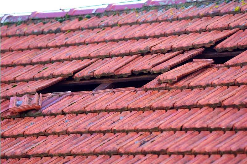 Damaged Roof Replacement in Pinckney, MI