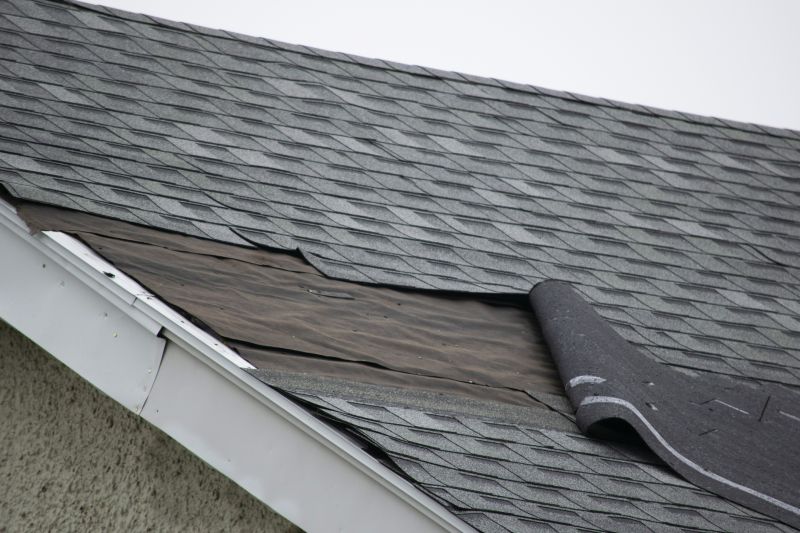House Roof Repair in Manchester, MI