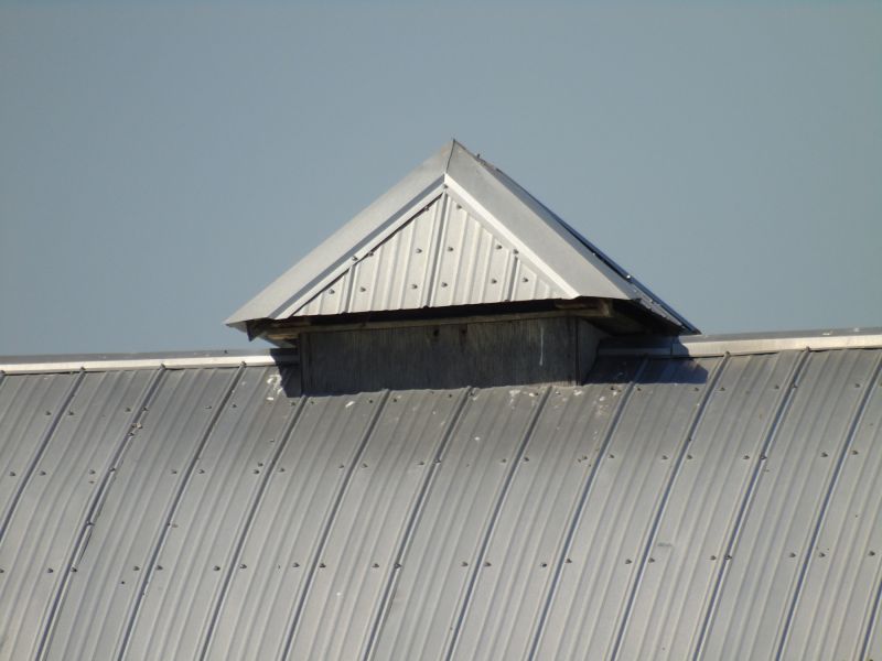 Tin Roof Installation in Pinckney, MI